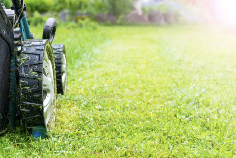 An image of Lawn Maintenance in Miami Gardens FL